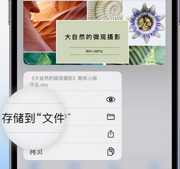 临洮apple维修中心分享iPhone文件应用中存储和找到下载文件