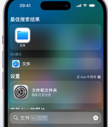 临洮apple维修中心分享iPhone文件应用中存储和找到下载文件