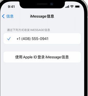 临洮apple维修iPhone上无法正常发送iMessage信息 