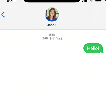 临洮apple维修iPhone上无法正常发送iMessage信息