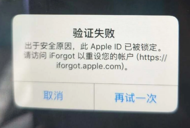 临洮iPhone维修分享iPhone上正常登录或使用AppleID怎么办 