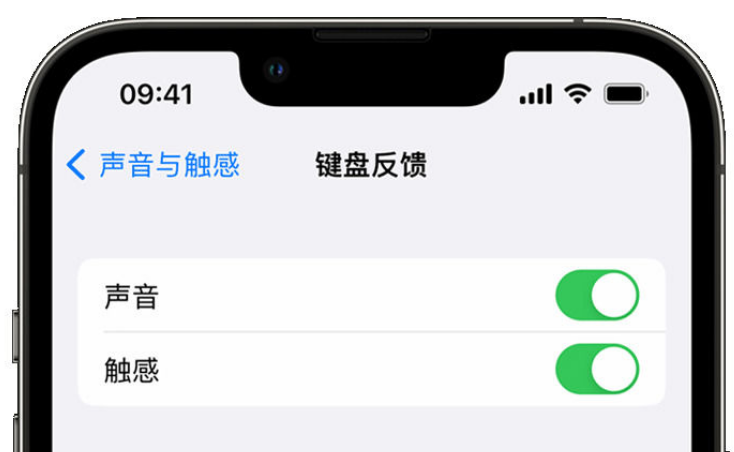 临洮苹果手机维修分享iPhone 14触感键盘使用方法 