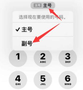 临洮苹果14维修店分享iPhone 14 Pro Max使用副卡打电话的方法 