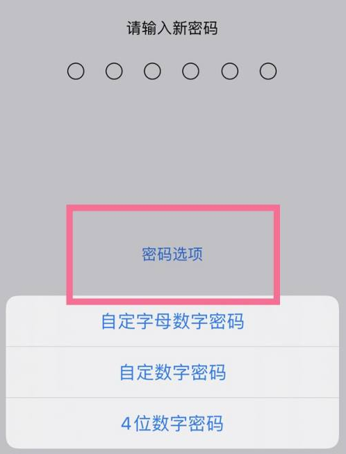 临洮苹果14维修分享iPhone 14plus设置密码的方法 