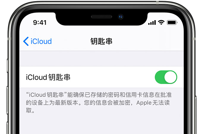 临洮苹果手机维修分享在 iPhone 上开启 iCloud 钥匙串之后会储存哪些信息 